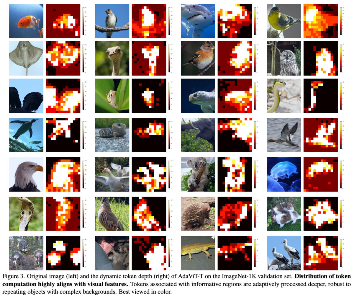 [論文メモ] AdaViT: Adaptive Tokens for Efficient Vision Transformer - にんひど ...