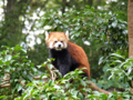 [多摩動物公園]