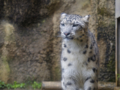 [多摩動物公園]