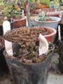 20100427214215