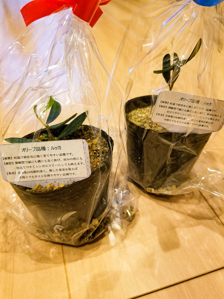 f:id:NixiE:20190528200617j:plain