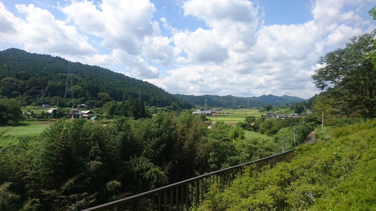 f:id:Niya-Niyari:20201027103108p:plain