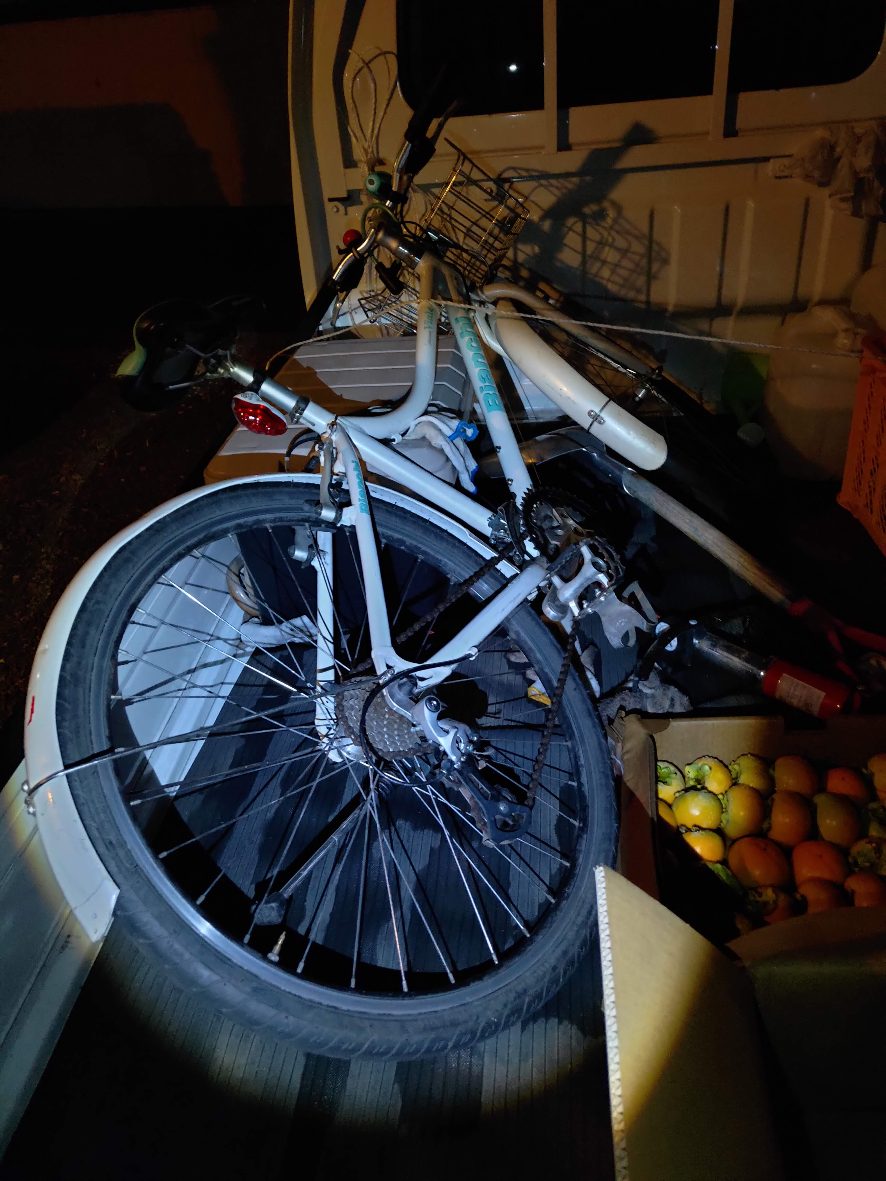 Bianchi Viale L - 限界放大生の雑記