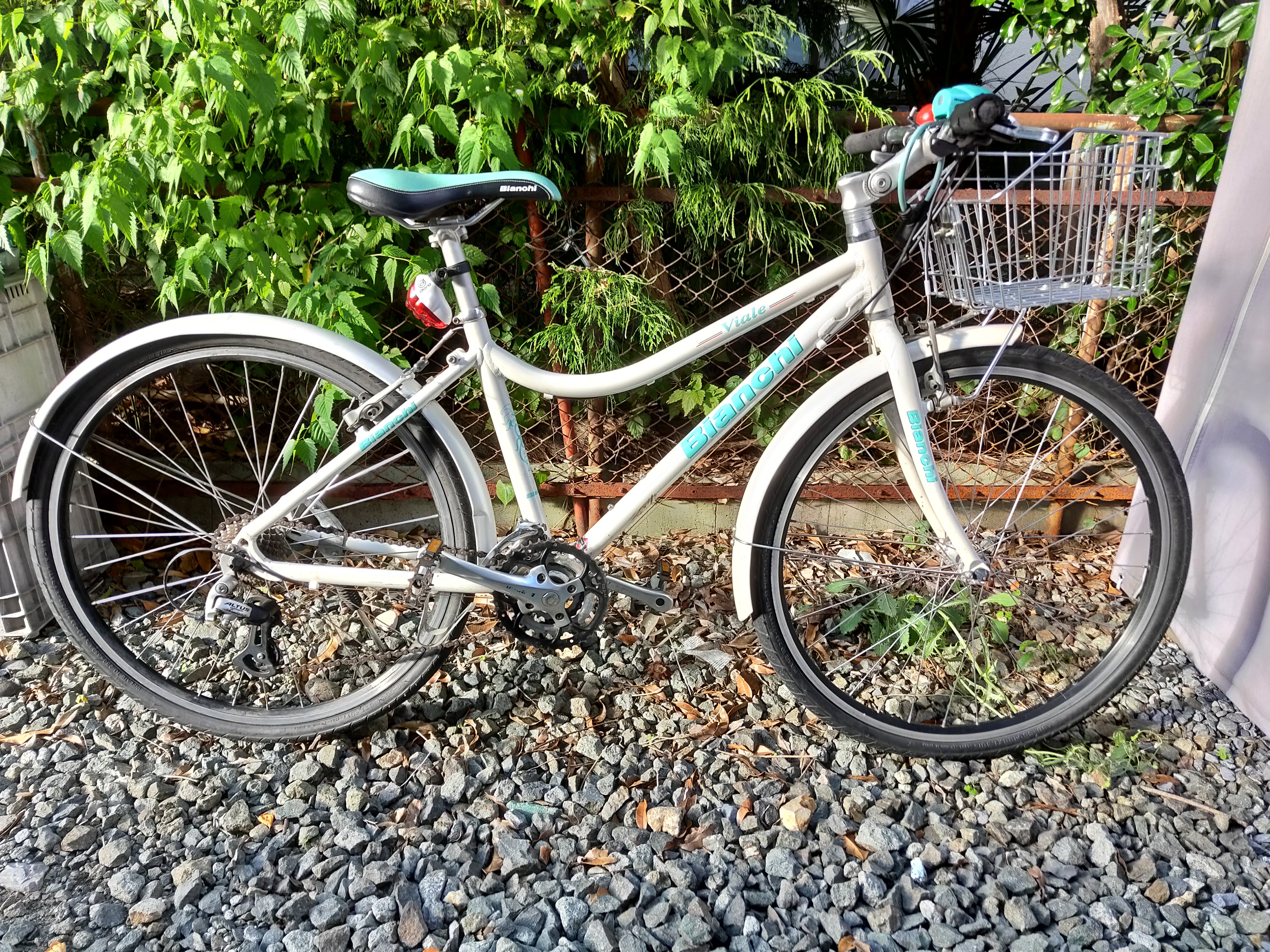 Bianchi Viale L - 限界放大生の雑記