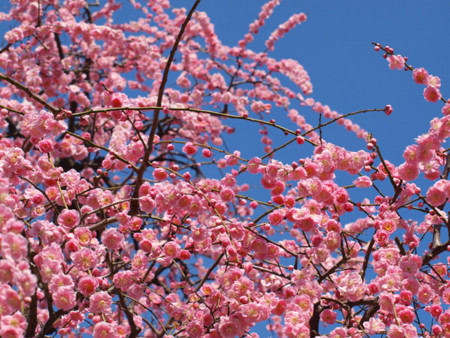 f:id:No-R:20140310002918j:image