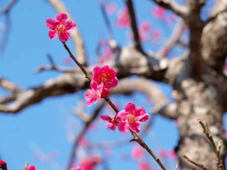 f:id:No-R:20140310002920j:image