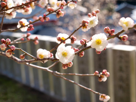 f:id:No-R:20140310002921j:image