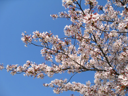 f:id:No-R:20140410002514j:image