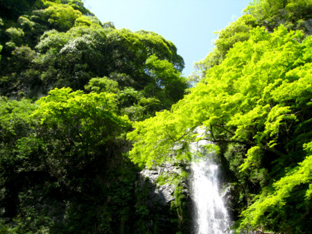 f:id:No-R:20140519235321j:image
