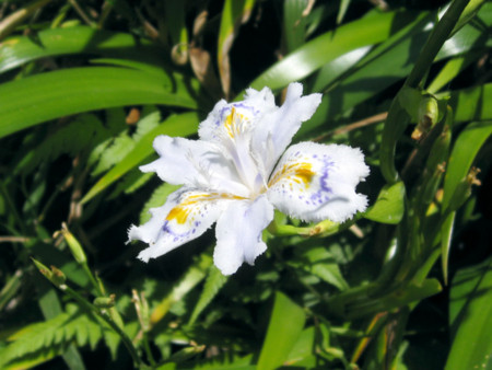 f:id:No-R:20140520000305j:image