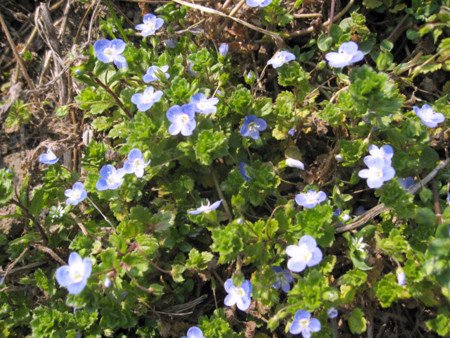 f:id:No-R:20160305125135j:image