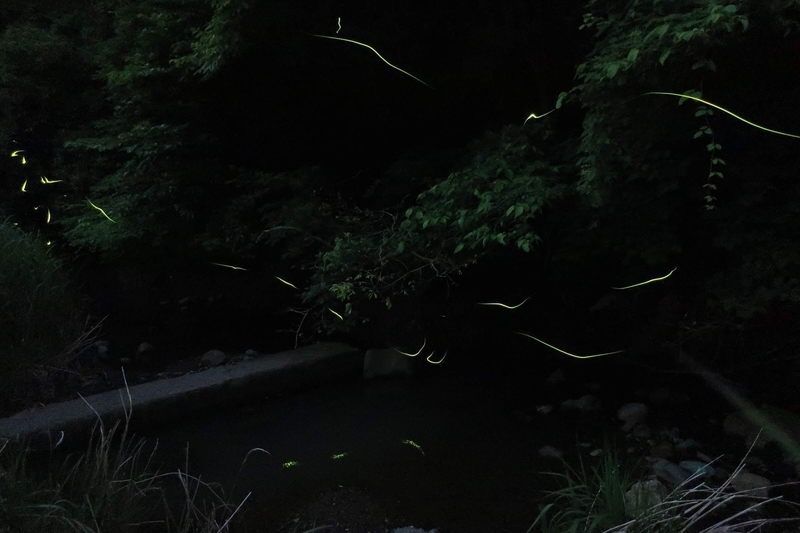 f:id:No4onoffroader:20201122023533j:plain