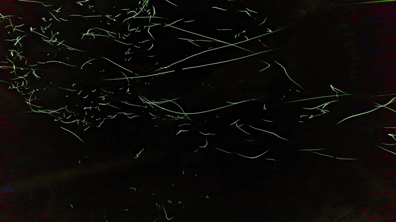 f:id:No4onoffroader:20201122023549j:plain