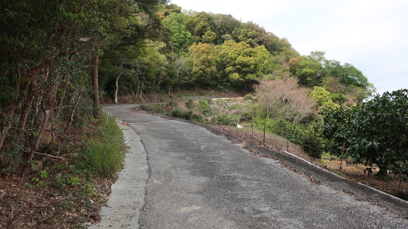 f:id:No4onoffroader:20210411183548j:plain