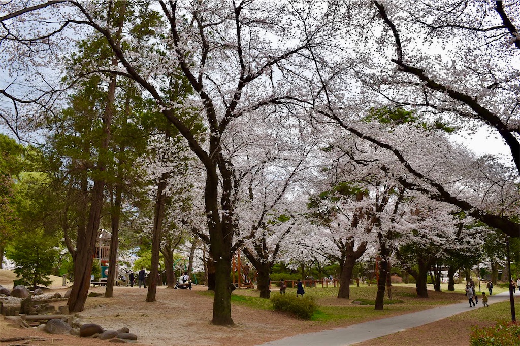 f:id:Nob13:20220405103149j:image