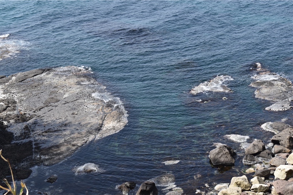f:id:Nob13:20220425093920j:image