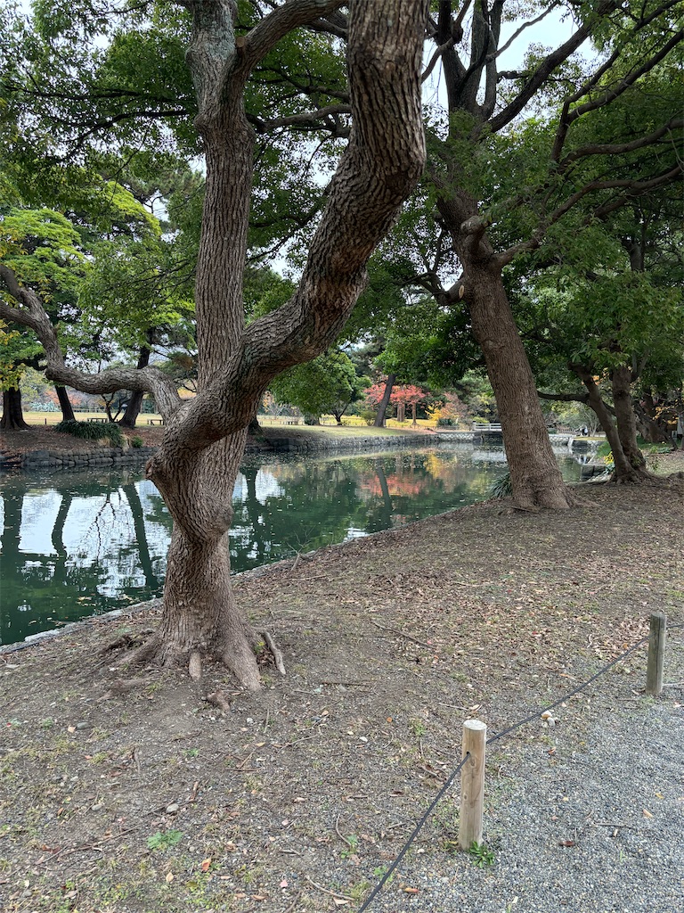 f:id:Nob13:20231214110440j:image