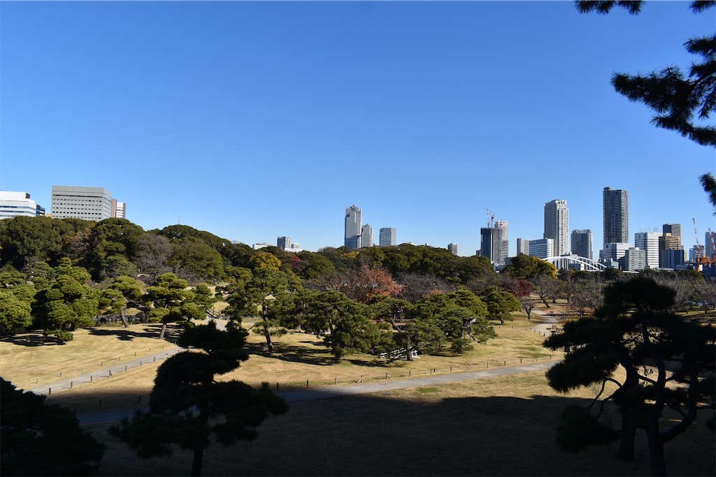 f:id:Nob13:20241212155337j:image
