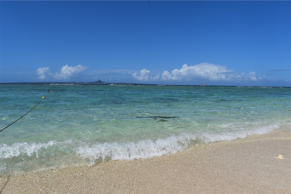 f:id:Nob13:20250126075445j:image