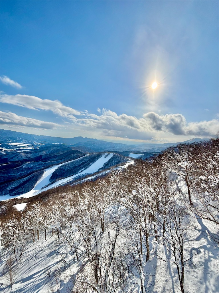 f:id:Nob13:20250228185001j:image