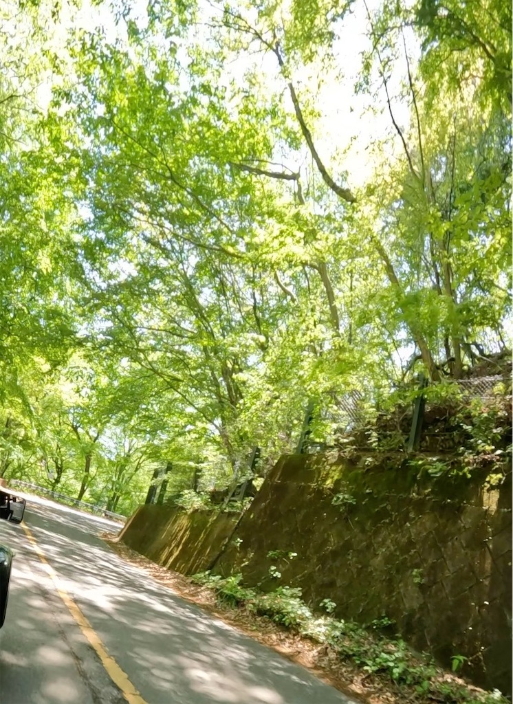 f:id:Nob13:20250516162032j:image