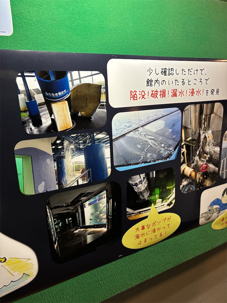 f:id:Nob13:20250604094647j:image