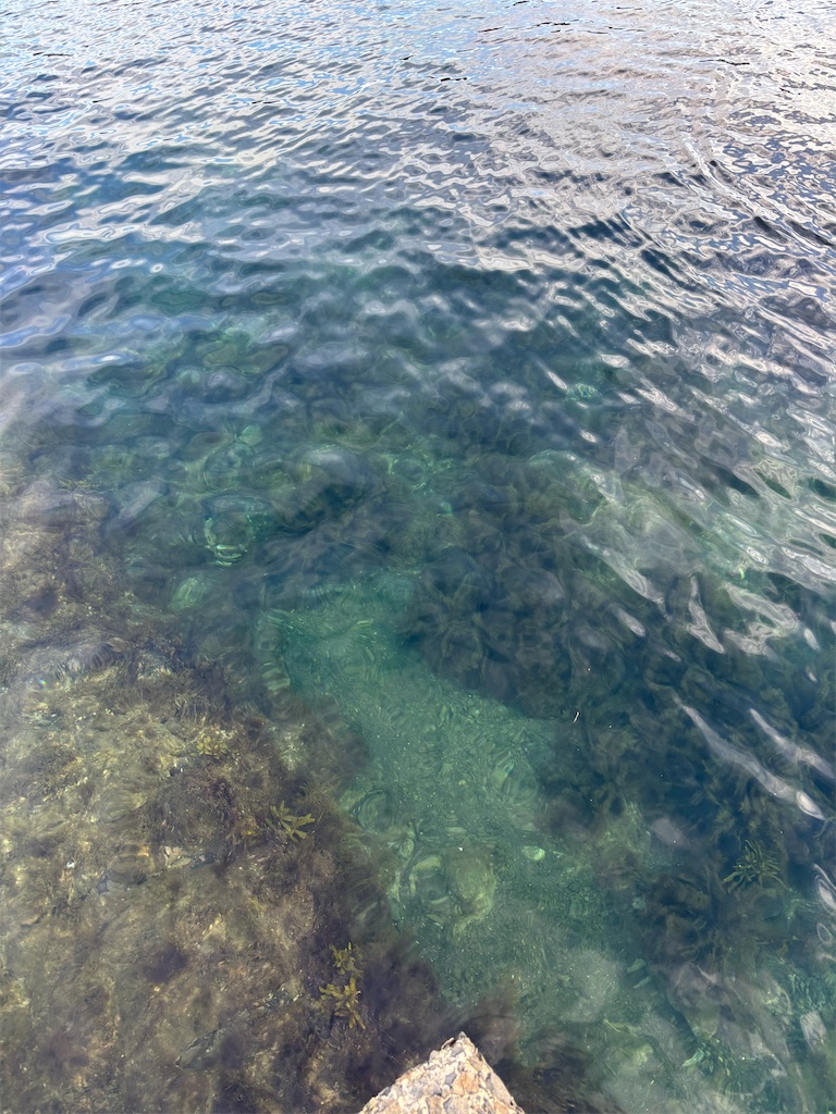 f:id:Nob13:20250926073135j:image