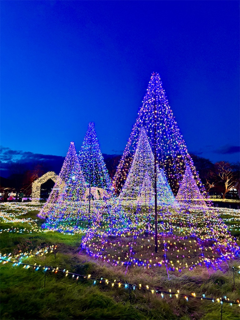 f:id:Nob13:20251119115110j:image f:id:Nob13:20251119115110j:image