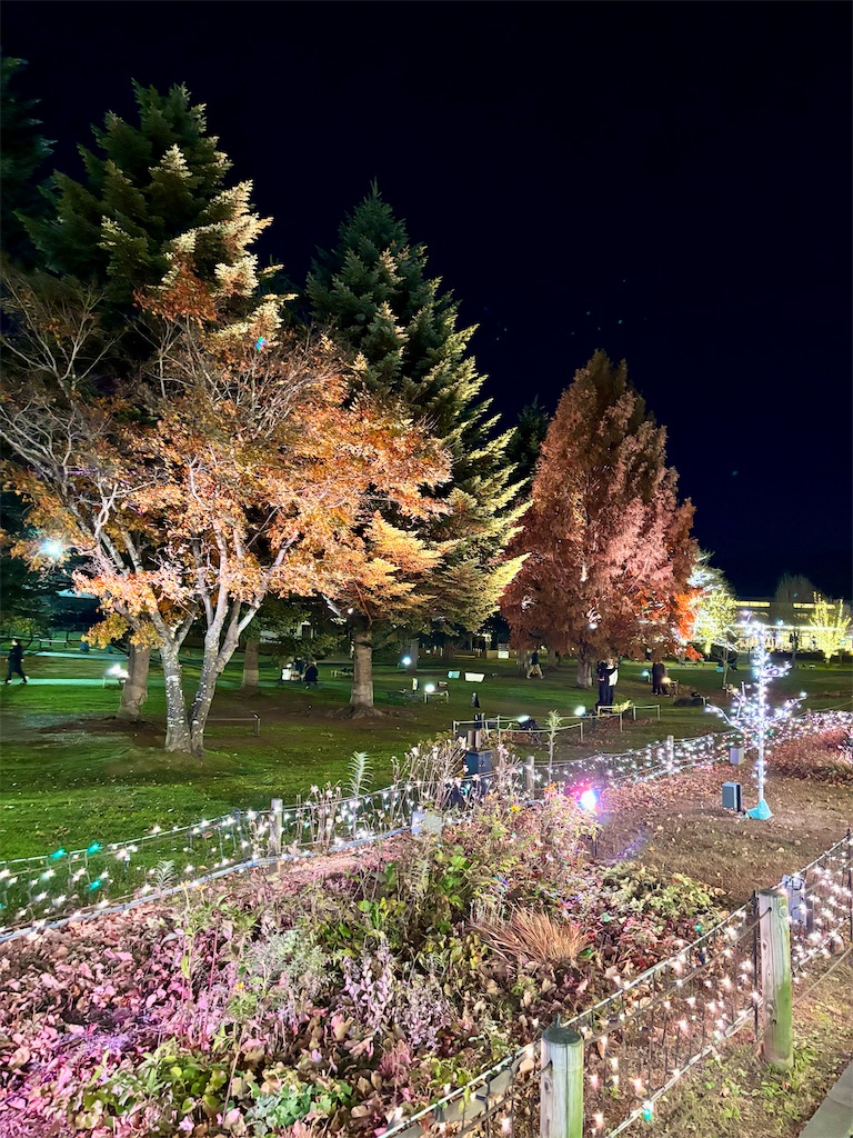 f:id:Nob13:20251119115142j:image f:id:Nob13:20251119115142j:image
