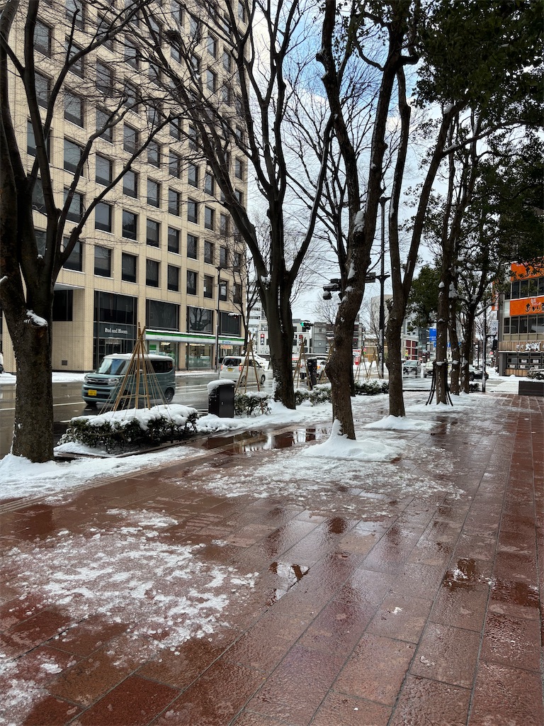 f:id:Nob13:20260213071048j:image