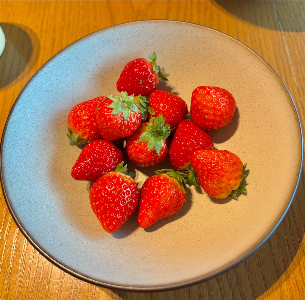 f:id:Nob13:20260318080721j:image