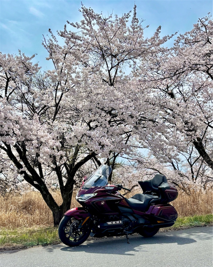 f:id:Nob13:20260407070154j:image