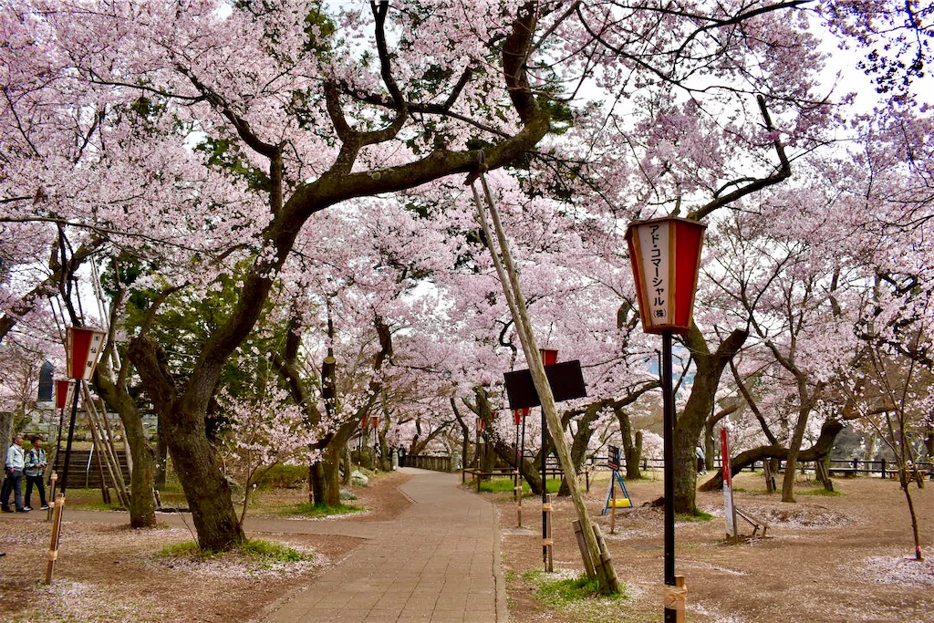 f:id:Nob13:20260411071634j:image f:id:Nob13:20260411071634j:image
