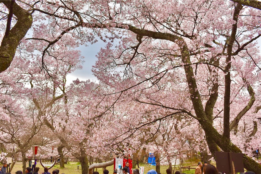 f:id:Nob13:20260411071650j:image f:id:Nob13:20260411071650j:image