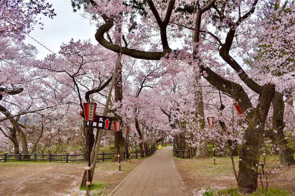 f:id:Nob13:20260411071653j:image f:id:Nob13:20260411071653j:image