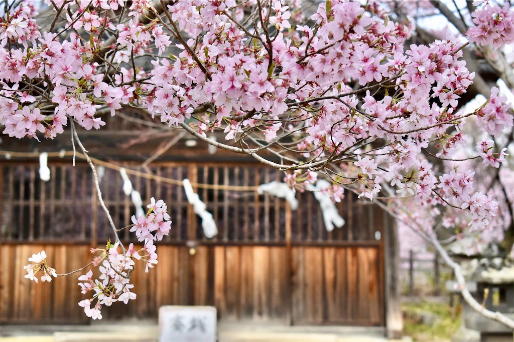 f:id:Nob13:20260412083257j:image f:id:Nob13:20260412083257j:image