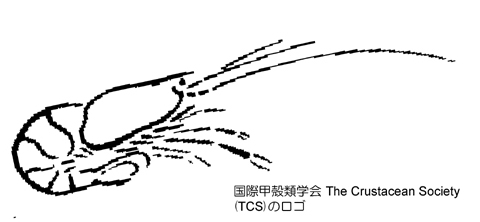 国際甲殻類学会 Tcs ２００９年日本大会 Nob の勝手に甲殻類 ミジンコからタカアシガニまで その2