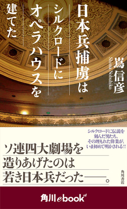 f:id:Nobuhiko_Shima:20180606151137j:plain