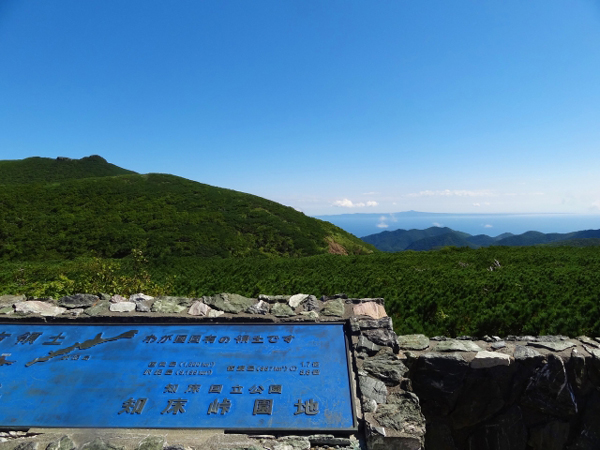 f:id:Nobuhiko_Shima:20190104163838j:plain f:id:Nobuhiko_Shima:20190104163838j:plain