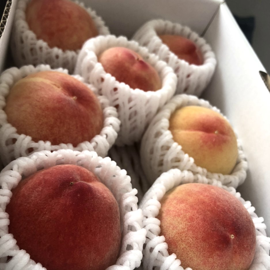 f:id:Nobuhiko_Shima:20210608185434j:plain