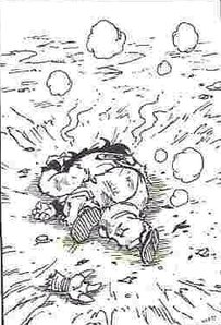 f:id:Nobuhisa:20090215210729j:image f:id:Nobuhisa:20090215210729j:image