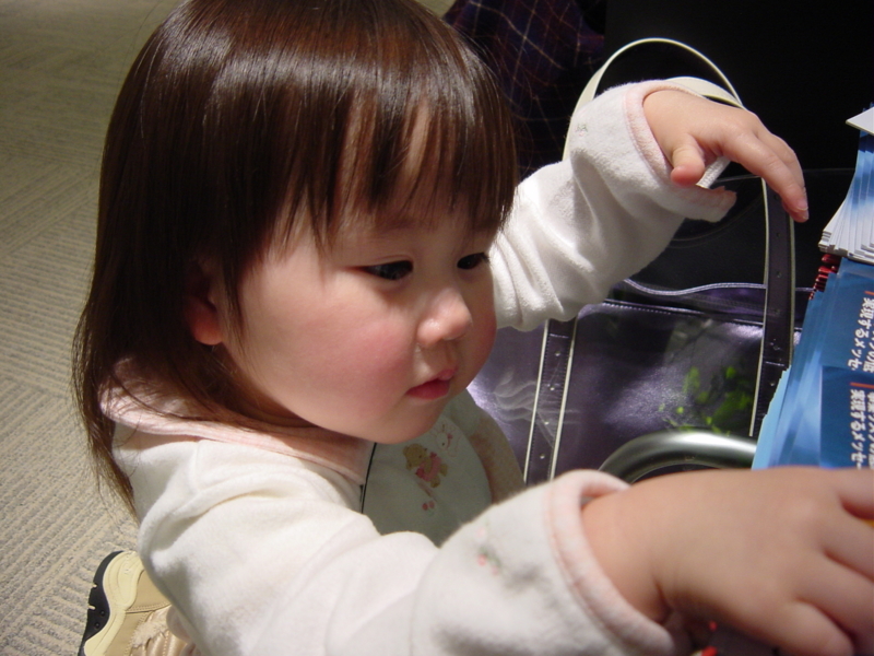 f:id:Nobuhisa:20090215210733j:image:w350 f:id:Nobuhisa:20090215210733j:image:w350