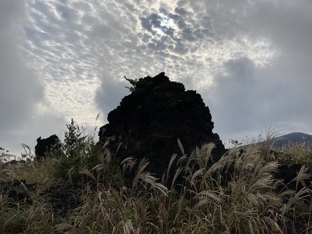 ジオ・ロックガーデンの巨岩