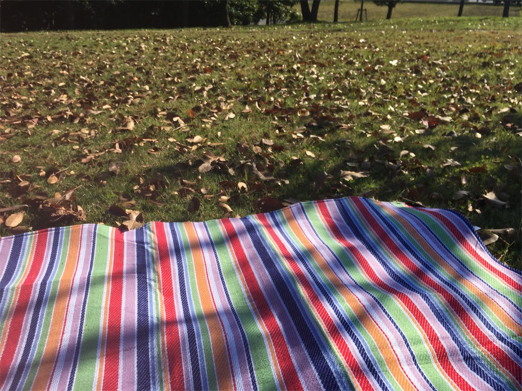 f:id:Nonapenta:20171112174508j:image f:id:Nonapenta:20171112174508j:image