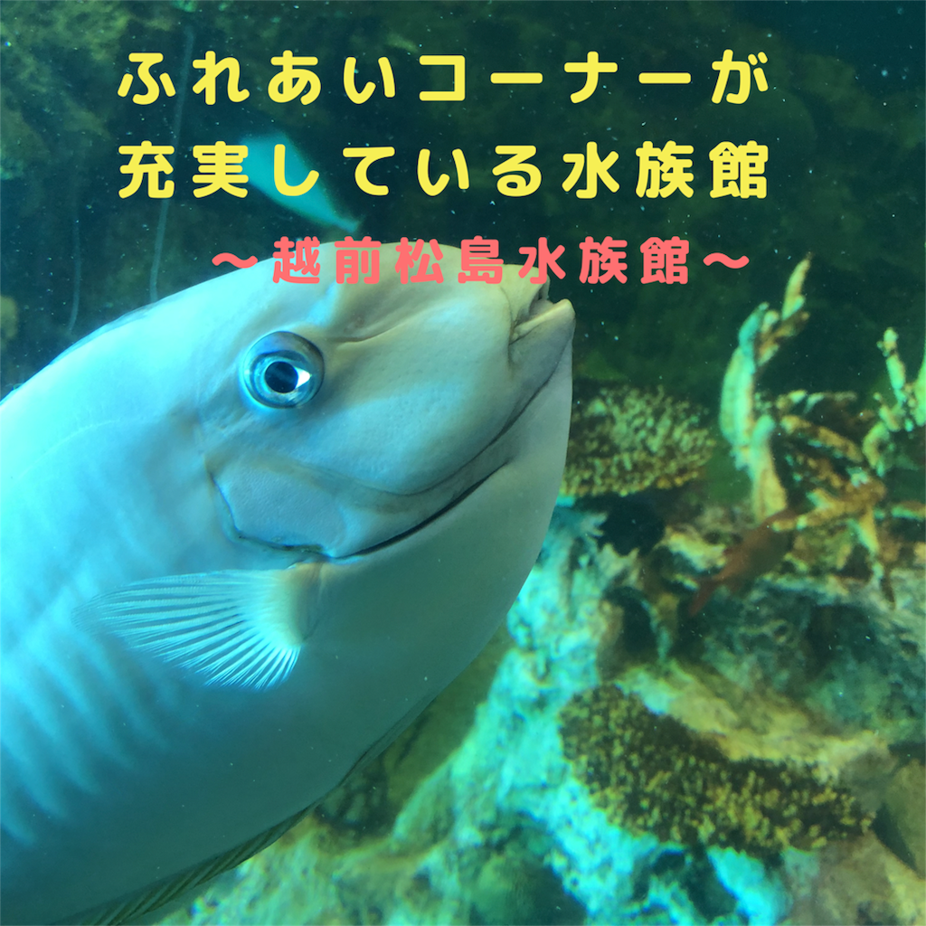 f:id:Nonapenta:20180616185655p:image