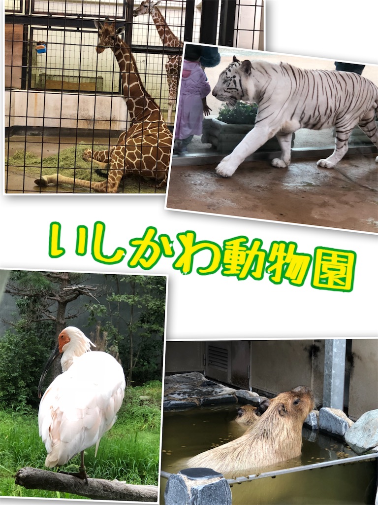 f:id:Nonapenta:20180924192740j:image