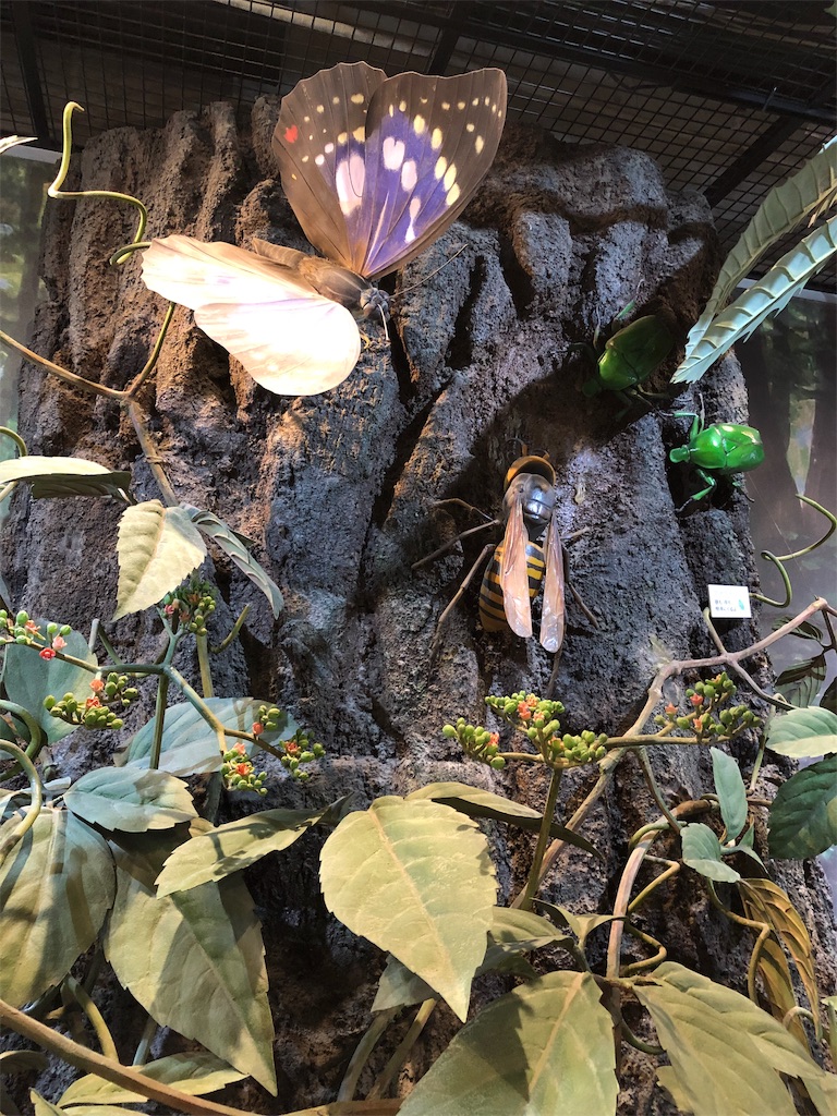 f:id:Nonapenta:20190503200308j:image f:id:Nonapenta:20190503200308j:image