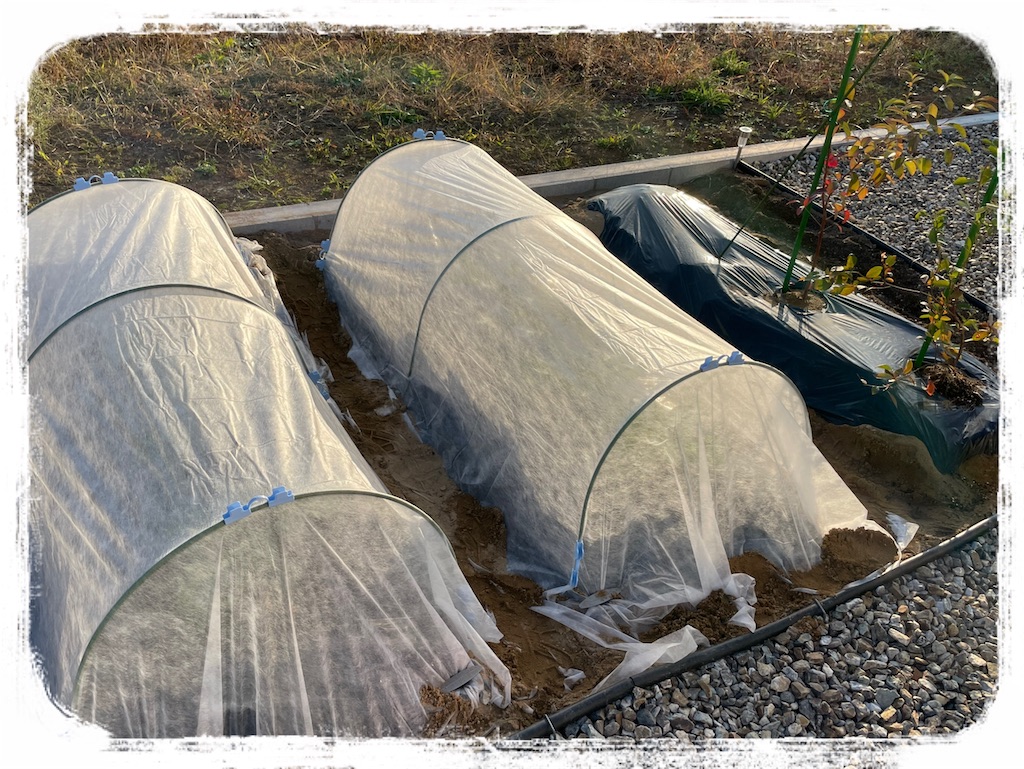 f:id:Nonapenta:20211031165012j:image