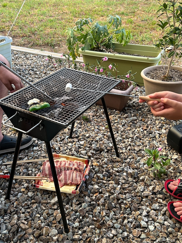 f:id:Nonapenta:20230813210916j:image