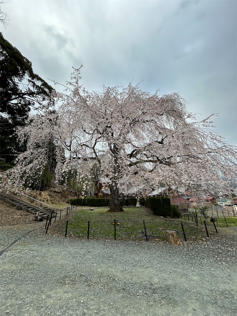 f:id:Nonapenta:20250407185512j:image f:id:Nonapenta:20250407185512j:image